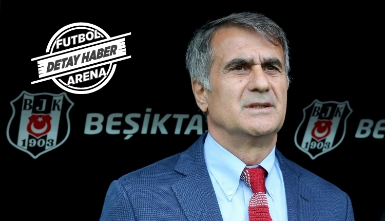 Şenol Güneş'in Kadiköy serisi devam ediyor