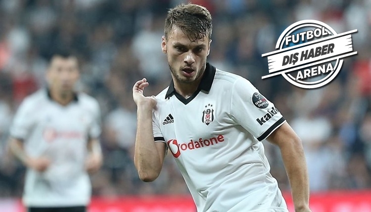 Adem Ljajic: 