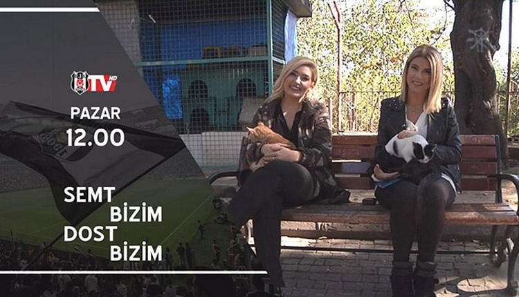 BJK TV'den hayvan hakları için özel program