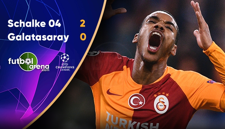 Schalke 04 2 - 0 Galatasaray maçın özeti ve golleri