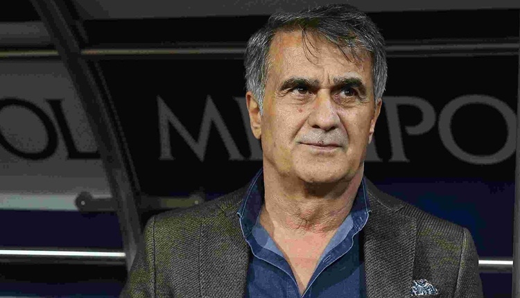 Şenol Güneş: 