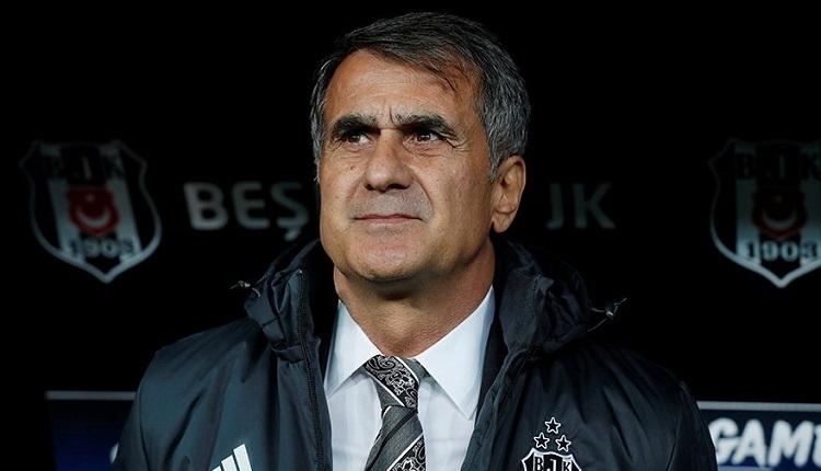 Şenol Güneş: 'Sahası iyi olmayanlara ağır para cezası verilmeli'