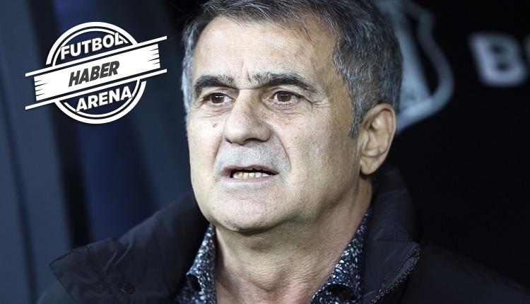 Şenol Güneş'e Milli takım sorusu: 'Görüştüm ama...'