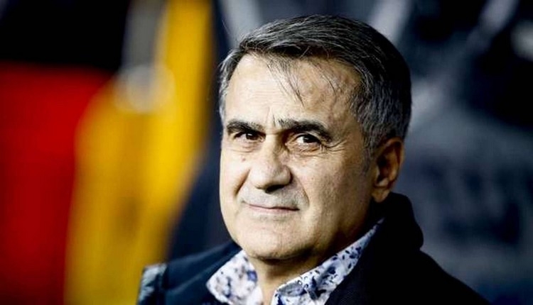 Milli Takım'da Şenol Güneş dönemi (Beşiktaş'tan ne zaman ayrılacak?)