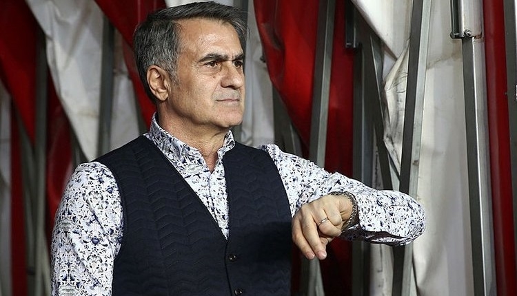 Şenol Güneş, Milli Takım'dan ne kadar para kazanacak?