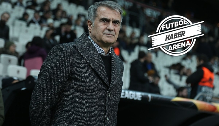 Şenol Güneş'ten flaş Milli takım açıklaması!