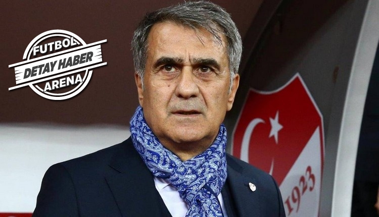 Milli Takım'ın Şenol Güneş ile tarihe geçen performansı