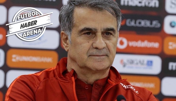 Şenol Güneş'in Milli takım hedefi! 'İlk maç sonrası...'