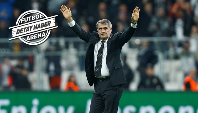 Beşiktaş'ta Şenol Güneş döneminin transfer bilançosu! Dev gelir