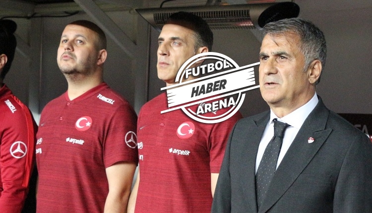 Şenol Güneş'ten tarihi zafer hakkında: 