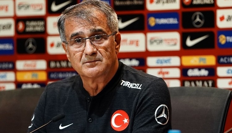 Şenol Güneş'ten Fransa açıklaması! 