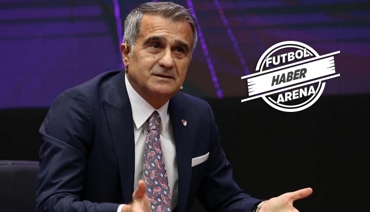 Şenol Güneş: 'Yok olmaya mahkumdurlar'