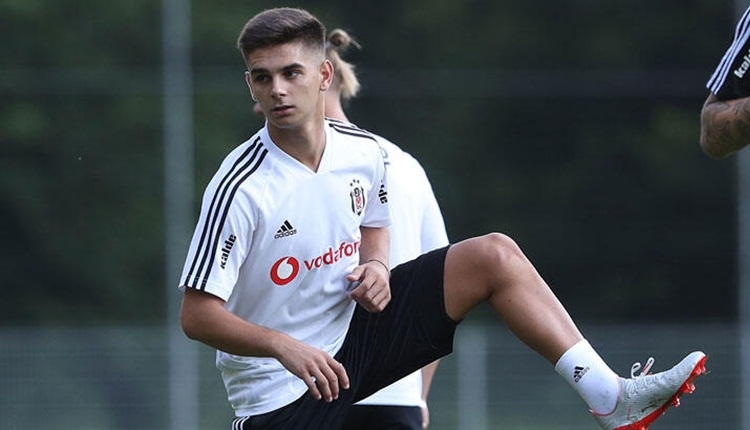 BJK Transfer: Beşiktaş, Ajdin Hasic'in lisansını çıkartıyor