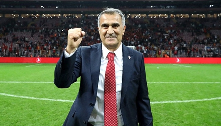 Şenol Güneş: 