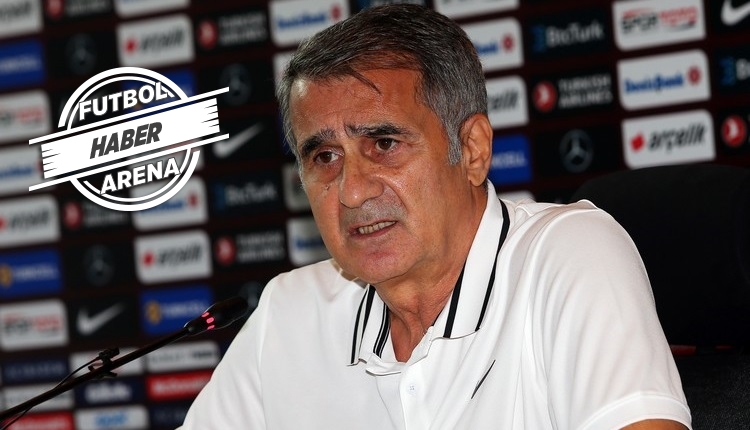 Şenol Güneş: 'Altay'a şans vereceğim'