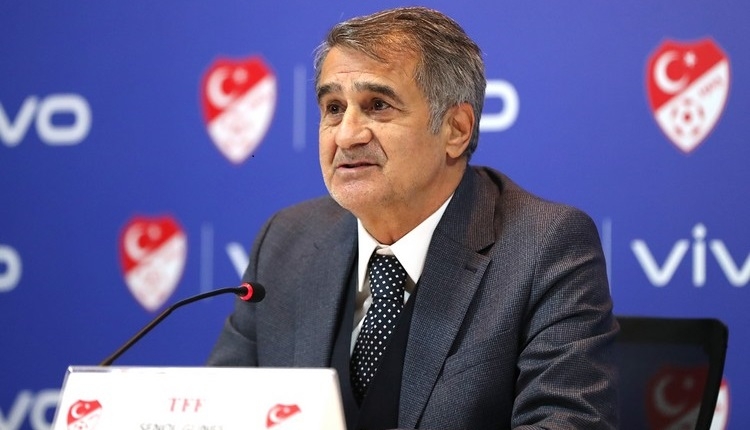 Şenol Güneş: 