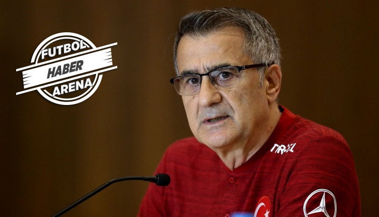 Şenol Güneş: 'Hedefimiz Dünya Kupası'