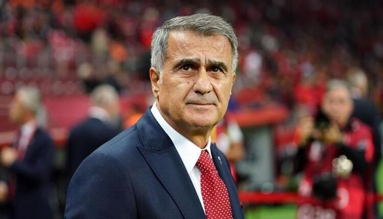 Şenol Güneş: 