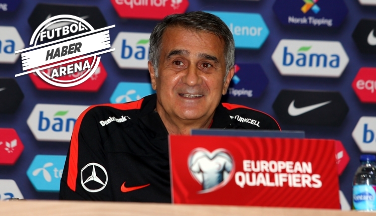 Şenol Güneş: 