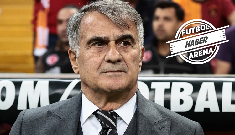 Şenol Güneş: 