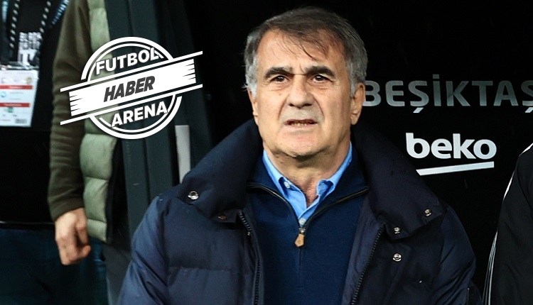 Şenol Güneş: 