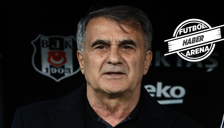 Şenol Güneş: 