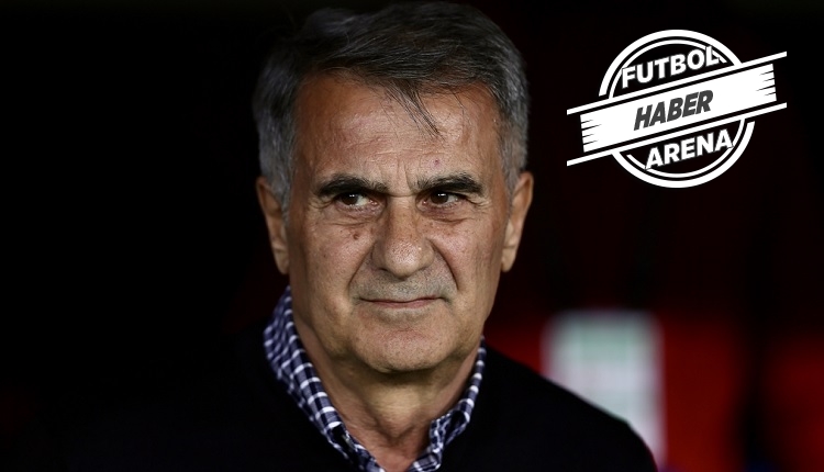 Şenol Güneş: 