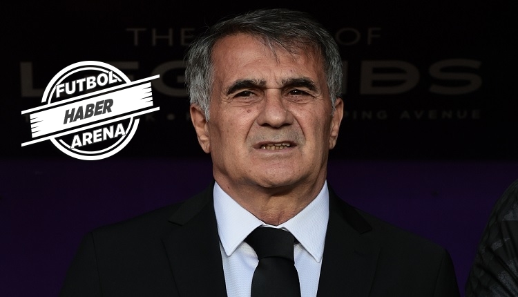 Şenol Güneş: 