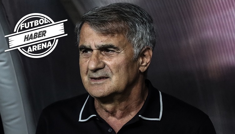 Şenol Güneş: 