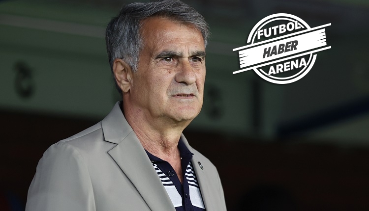 Şenol Güneş: 