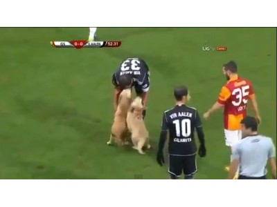 Galatasaray maçında davetsiz misafirler