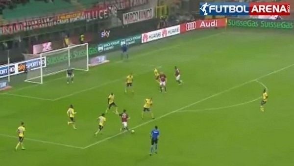 Kaka ağları temizledi