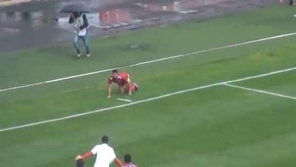 Yerli Pitbull Gökhan Karadeniz!