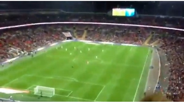 Tribünden atılan uçak Gary Cahill'i vurdu