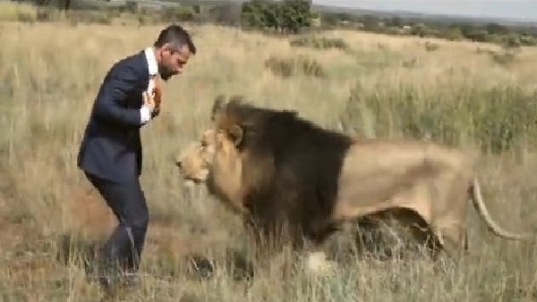 3 Aslanla Tek Başına Top Oynadı! Çıldırmış Olmalı...