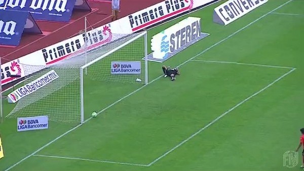 Meksika'da çılgın bir gol! | Süzüle süzüle gitti...