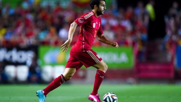 Fabregas'ı yaktılar!