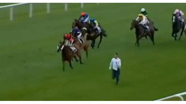 Çılgın adam at yarışının ortasına daldı