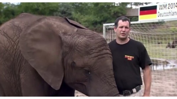 Fil Nelly'e göre Almanya-Fransa maçının galibi...