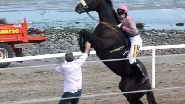 Yarış atı bir anda çılgına döndü...