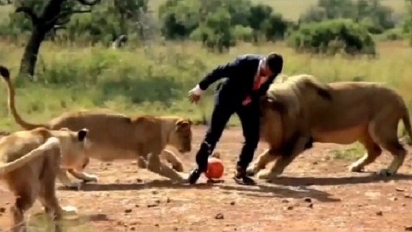 Aslanlarla futbol oynadı!