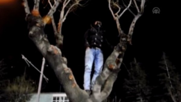 Beşiktaş Maçını Ağaç Üzerinde İzlediler