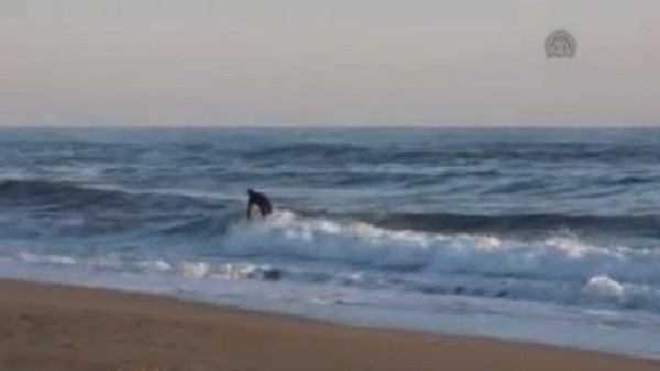 Sörf tutkunu Amerikalı Alanya'da