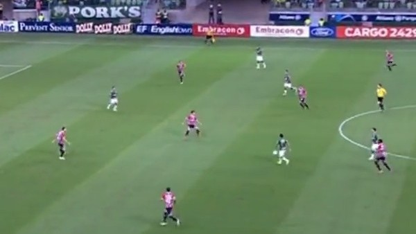 Robinho'dan yılın golüne aday gol!