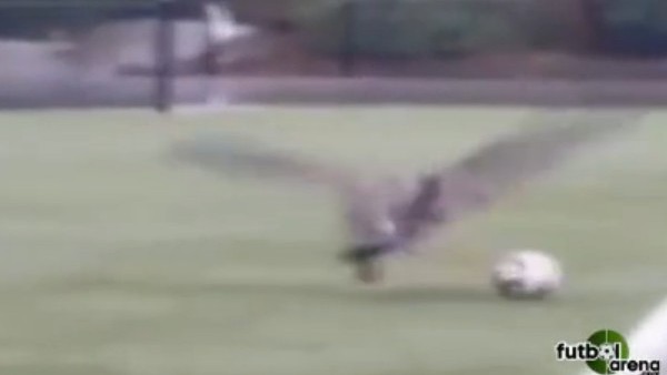 Karşınızda kartal Messi