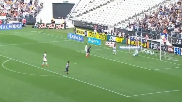 Kaleci değil sanki panter