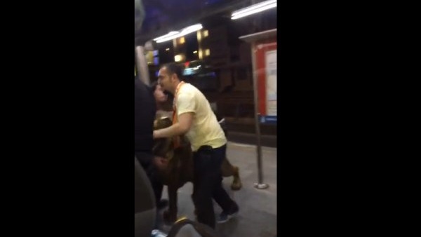 Aslanı söküp metrobüsle götürdüler