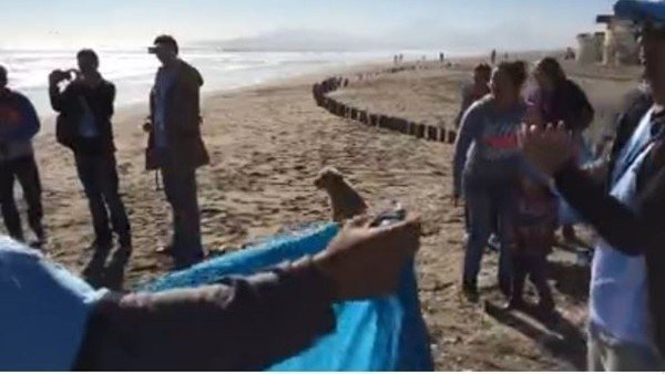 Arjantin'de Copa America coşkusu