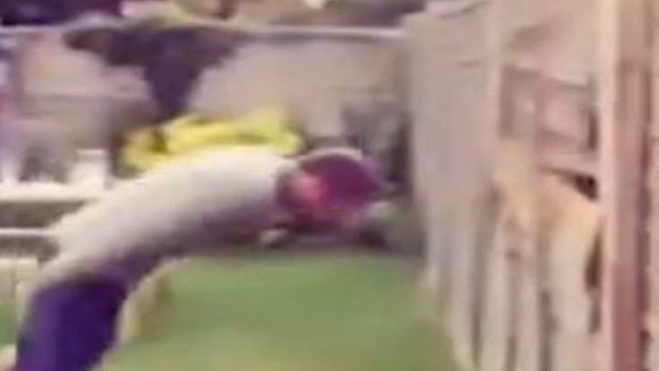 Van Persie'nin evinde Persie hareketi