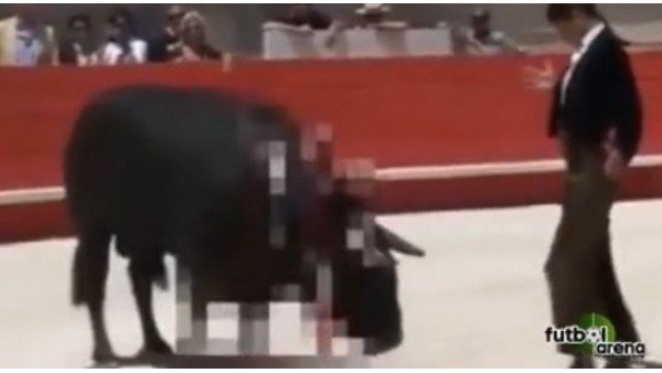 Kadın matadora büyük tepki!